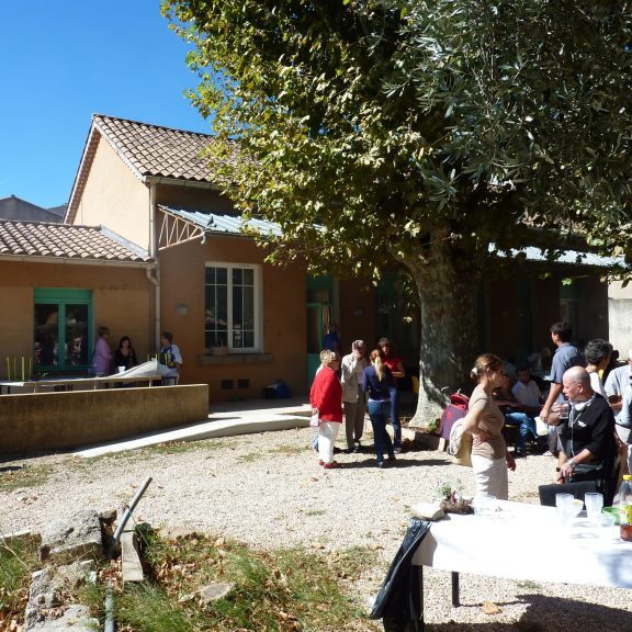 P1060299 P1060299